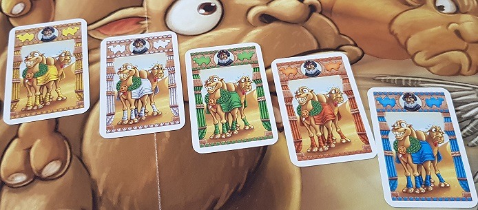 camel up review camel cards