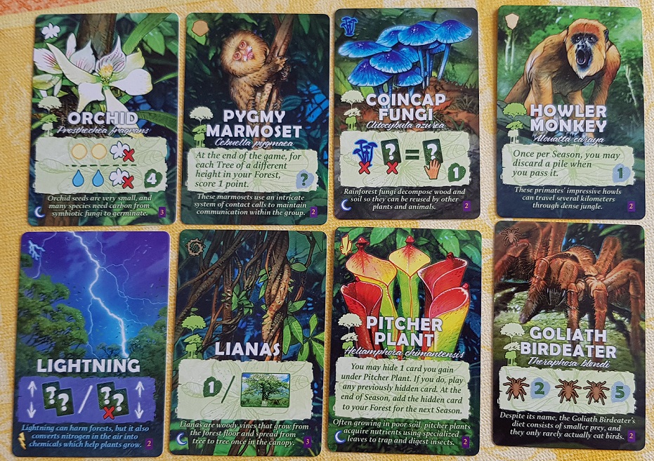 Canopy Board Game Review Advanced Cards