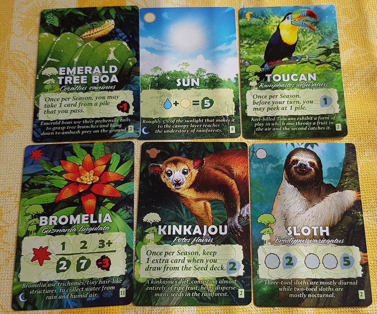 Canopy Board Game Review Basic Cards