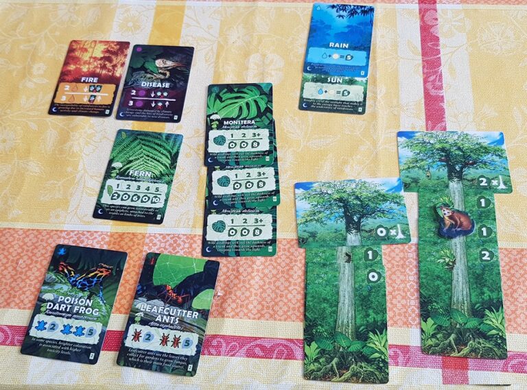 Canopy Board Game Review Victory Conditions