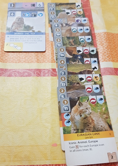 Ark Nova Board Game Review Placed Animals